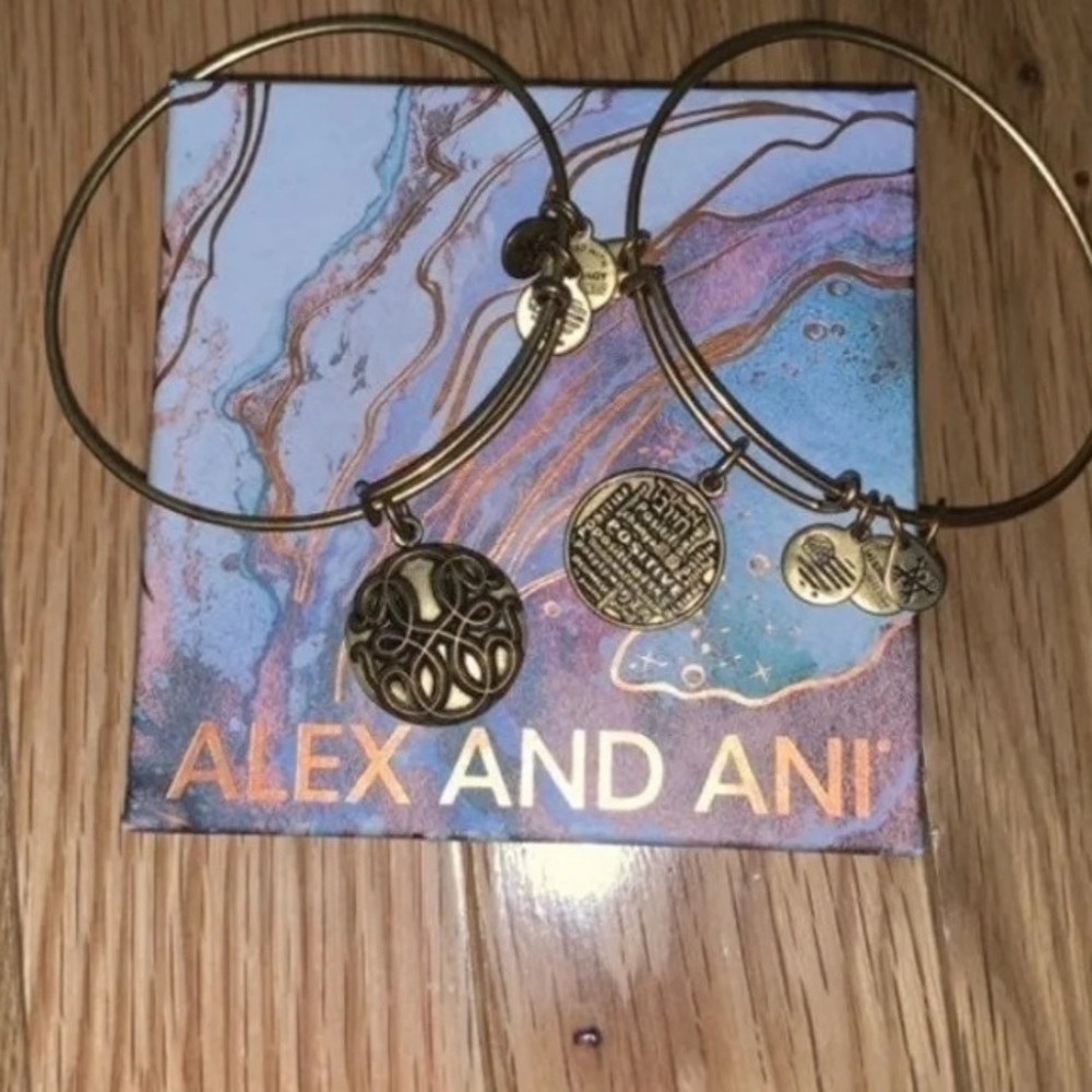 Alex And Ani Bracelet Bundle - image 3